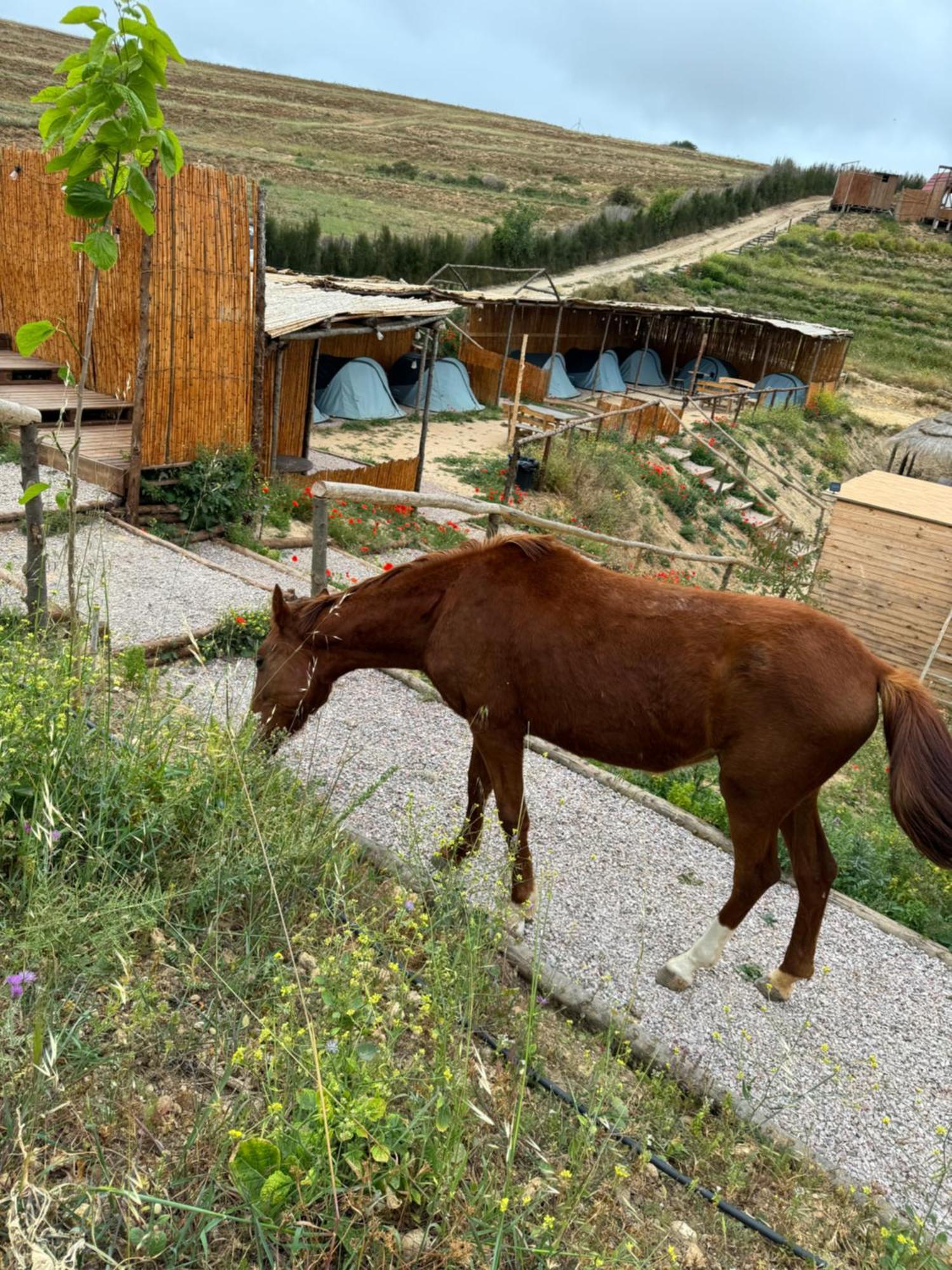 Ghar El Melh Outdoors Hotel Ra's al Jabal ภายนอก รูปภาพ