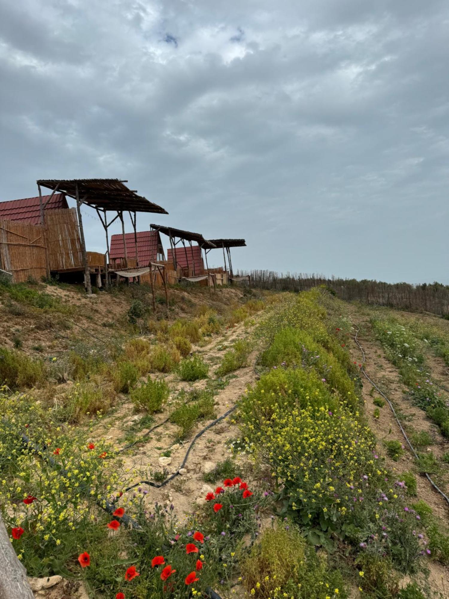 Ghar El Melh Outdoors Hotel Ra's al Jabal ภายนอก รูปภาพ